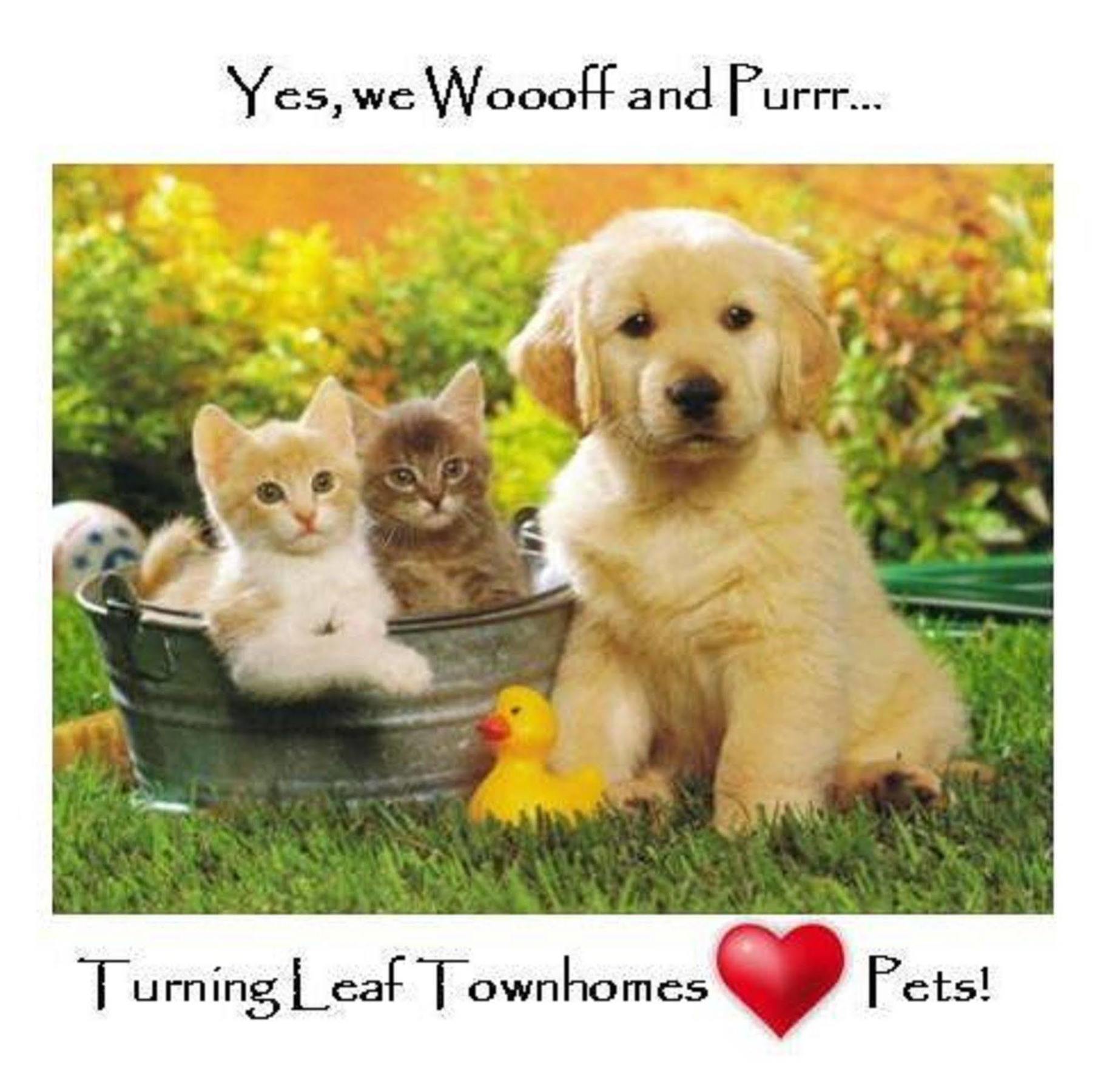 Turning Leaf Townhome Suites Fairwood 외부 사진